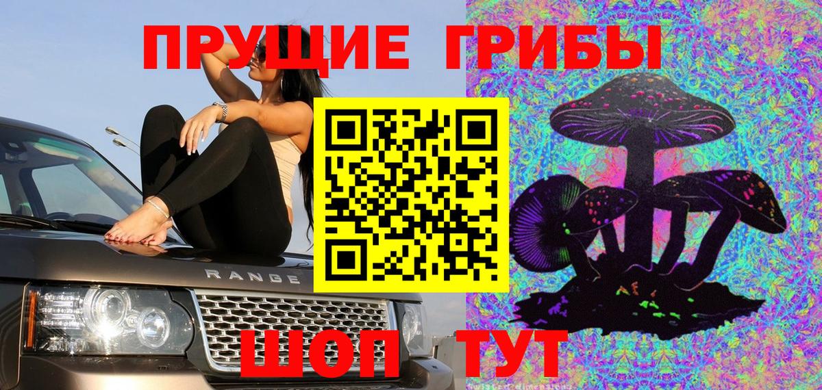Галлюциногенные грибы Cubensis Самара