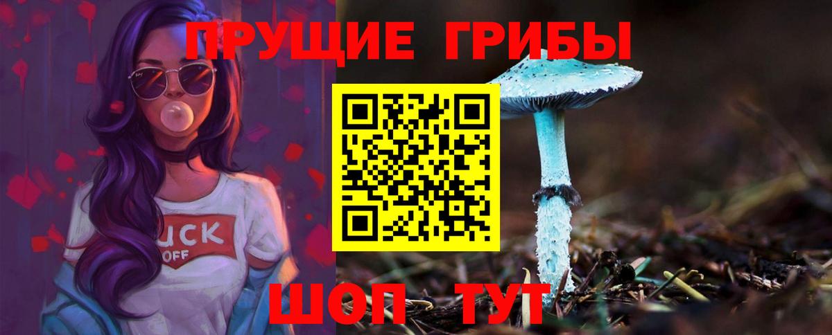 Самара  где продают наркотики  Галлюциногенные грибы Psilocybe  Вход с VPN  Галлюциногенные грибы мицелий 